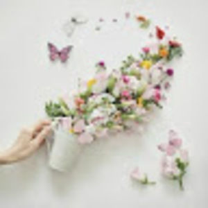 Meet your Posher, Our